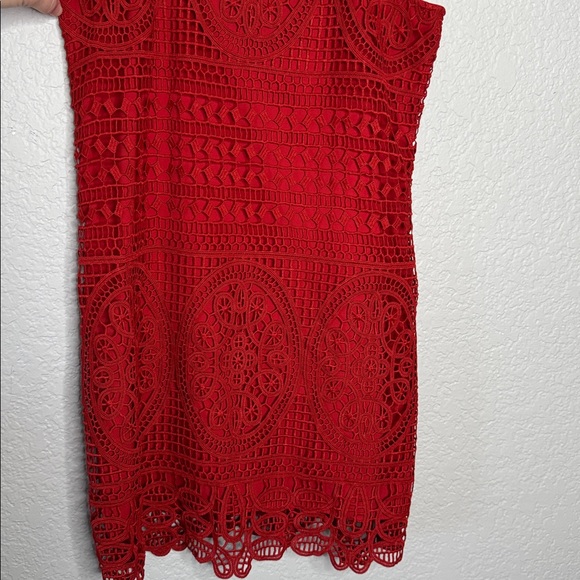 Lovers + Friends Caspian Red Lace Shift Dress Revolve XS Holiday Party Coquette - Picture 4 of 7